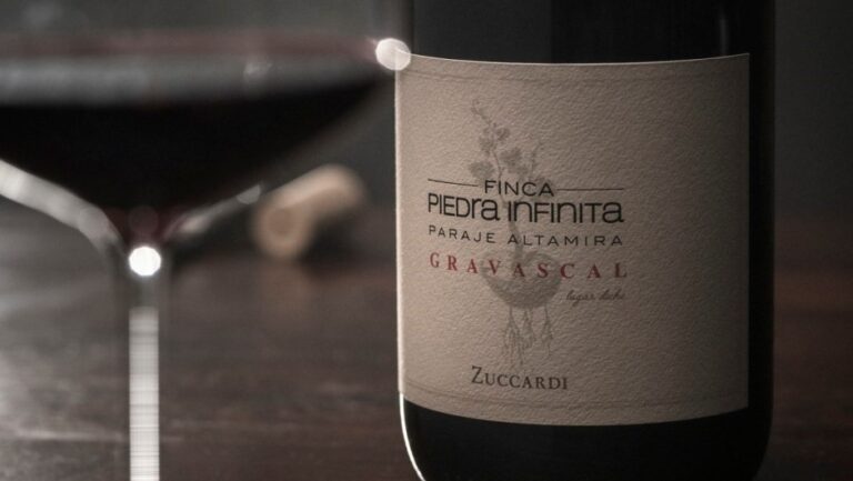 Vino Premiado Piedra Infinita Zuccardi
