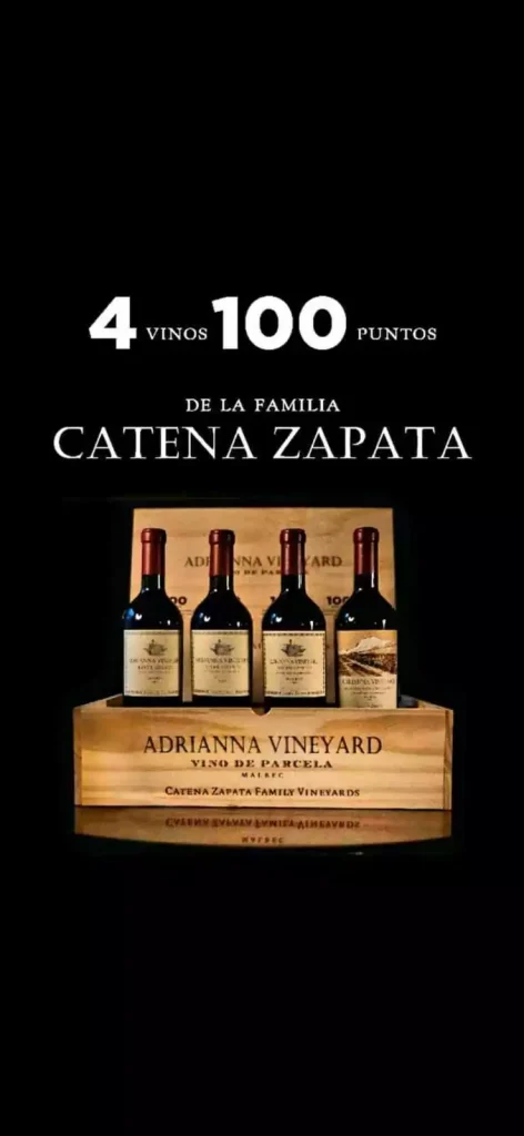 estuche adrianna vineyard mix 100 pts