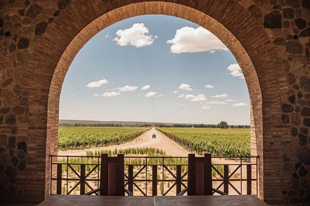 Angelica cocina maestra