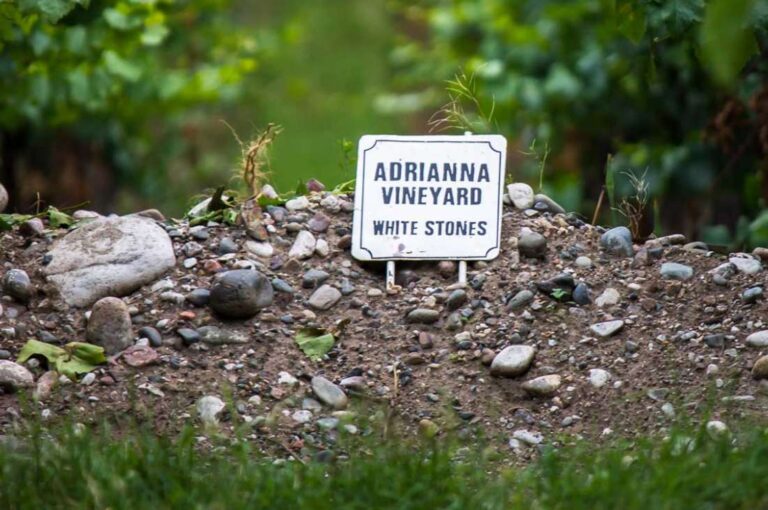 El suelo del Viñedo Adrianna