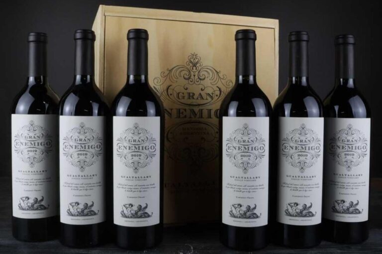 vino gran enemigo gualtallary 2019