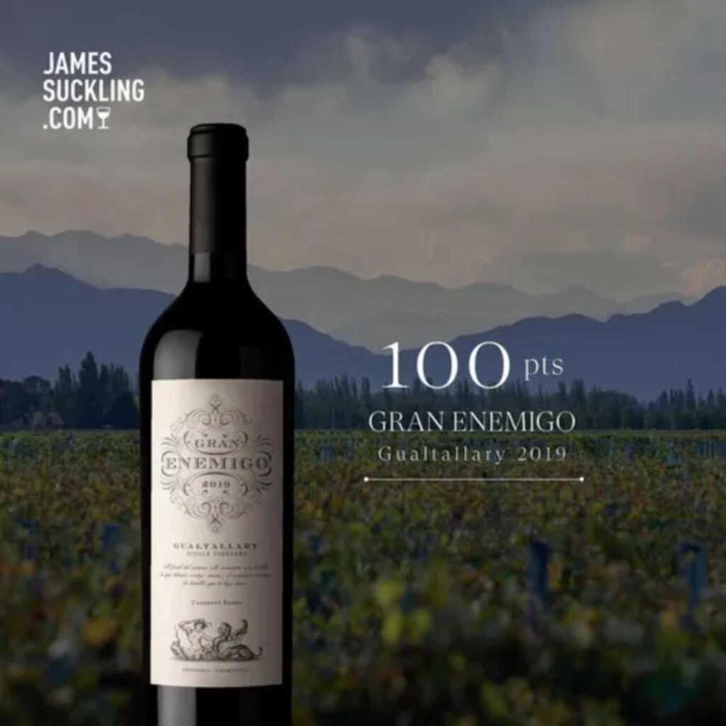 Puntajes de 100 puntos para el Gran Enemigo Gualtallary 2019 de Robert Parker