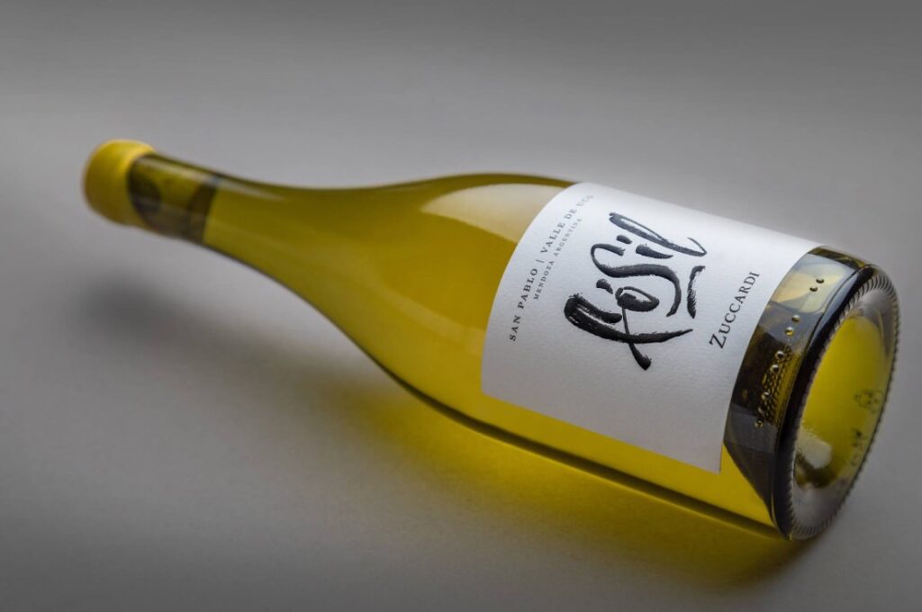 Fósil el Chardonnay que posiciona a San Pablo como el lugar de mayor potencial para esta cepa