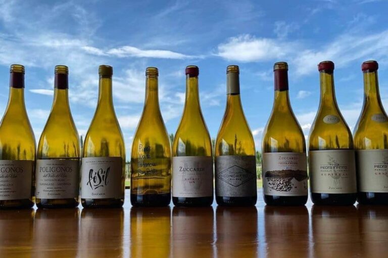 Vinos blancos de Bodega Zuccardi elaborados en San Pablo, Paraje Altamira y Gualtallary.