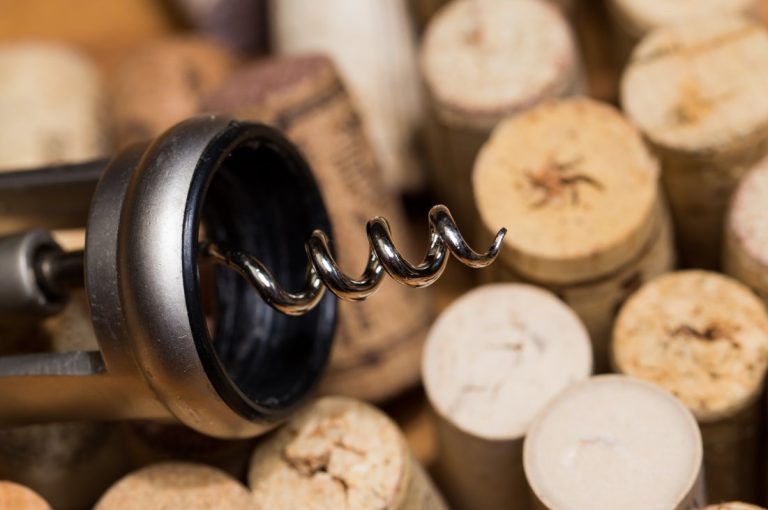 Los 10 Mejores Vinos Argentinos del 2023