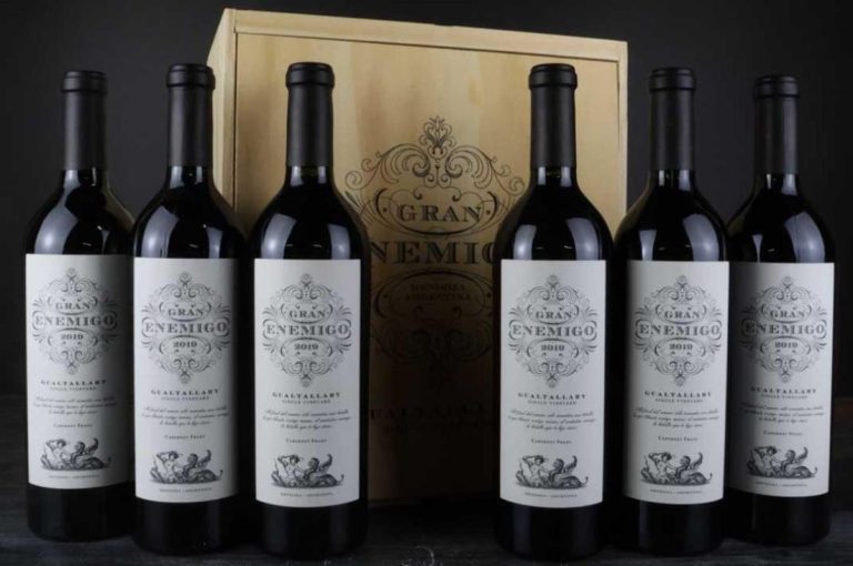 Vinos Argentinos - Gran Enemigo Gualtallary 2019
