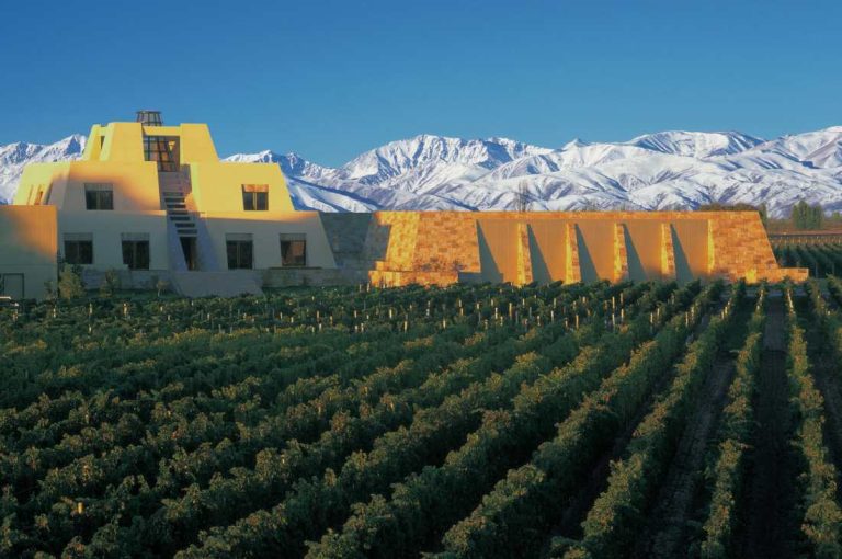 Viñedo La Pirámide, junto a la bodega con forma de pirámide Maya.