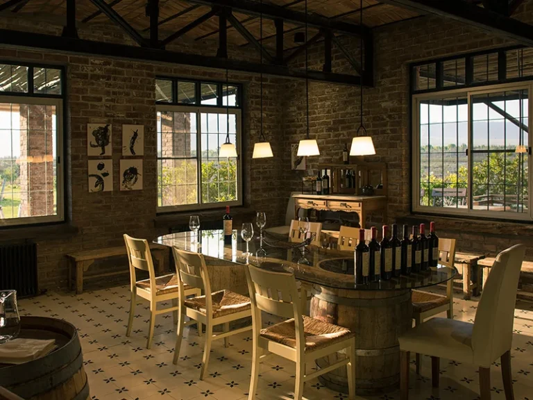 LOS SECRETOS DE LA BODEGA ACHAVAL FERRER