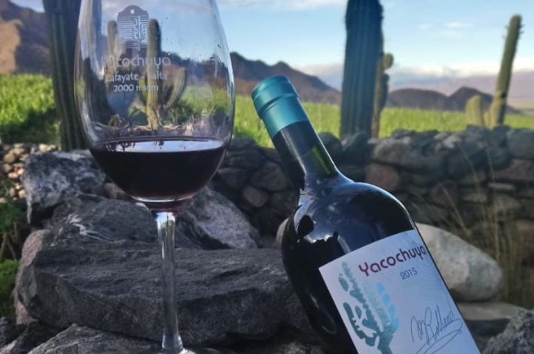 Bodega San Pedro de Yacochuya