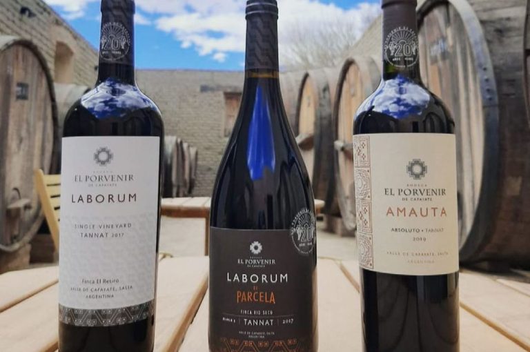 Vinos de El Porvenir de Cafayate: Laborum Tannat, Laborum de Parcela y Amauta