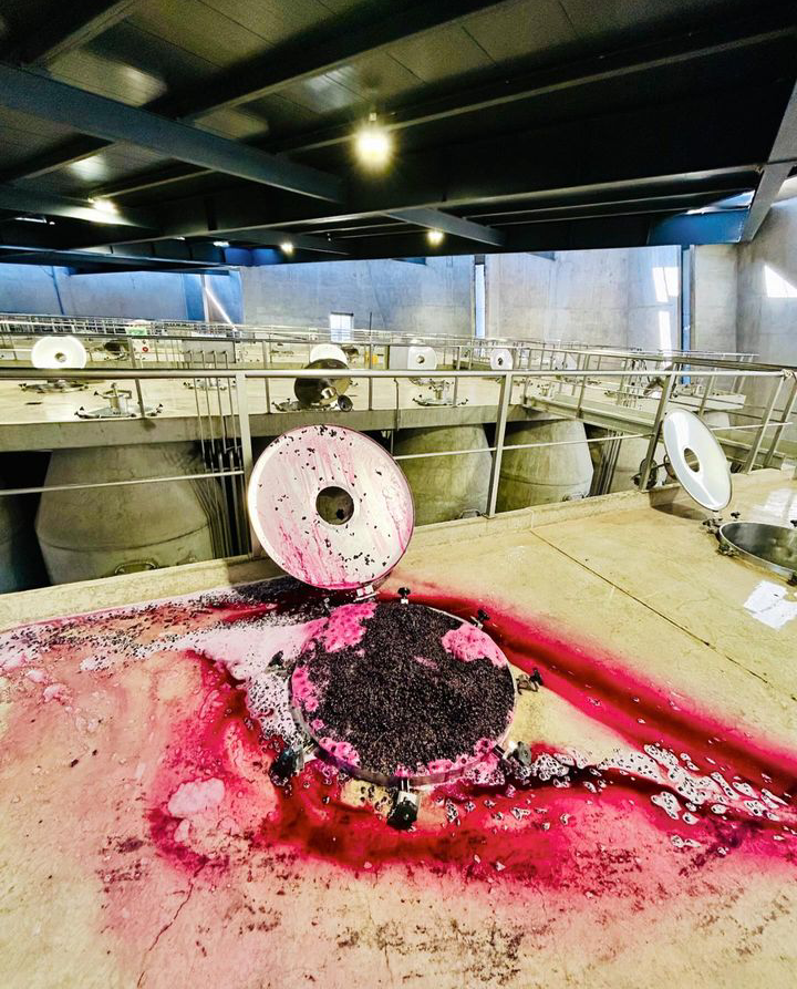 Distintas etapas del procedimiento dentro de la bodega, en Zuccardi Piedra infinita.