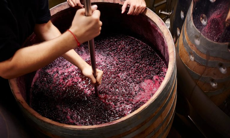 Cómo deben trabajar las bodegas