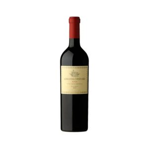 Catena Zapata Adrianna Vineyard River