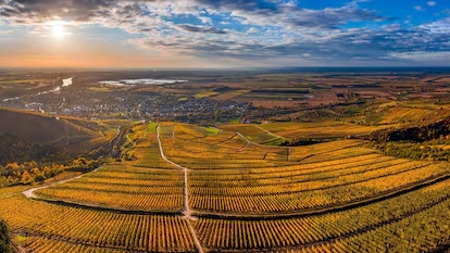 Viñedos de Tokaj en Hungría