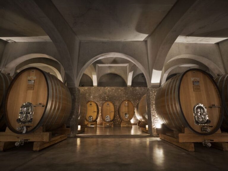 Características de los vinos Gran Reserva