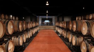 Vinos Gran Reserva: lo mejor de cada bodega