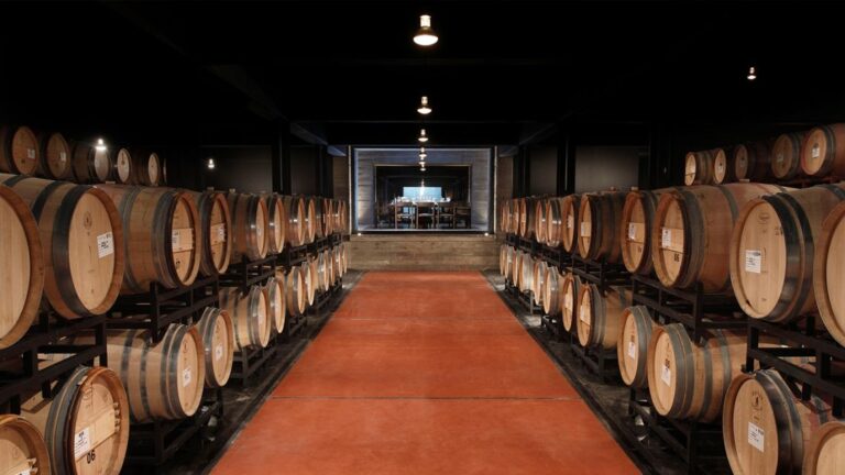 Vinos Gran Reserva: lo mejor de cada bodega