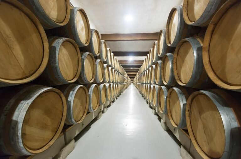 La enología como profesión diferencias entre el enólogo y el sommelier