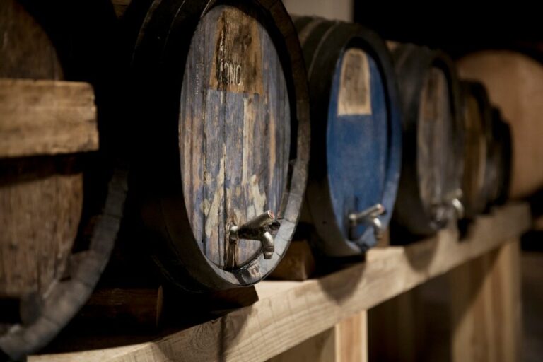 Los orígenes milenarios del vino