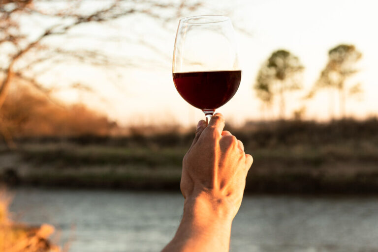 El ABC del vino: Guía Básica para Principiantes