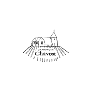 Chavost