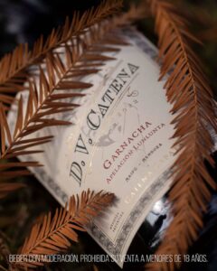 DV Catena Garnacha