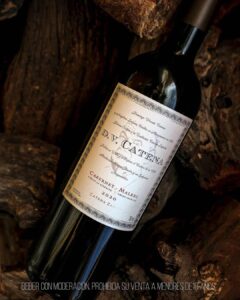 DV Catena Malbec