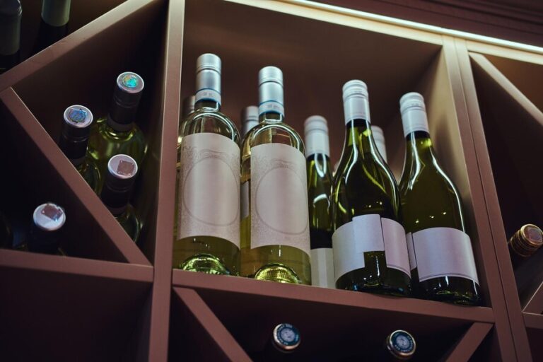 ¿Cómo Elegir una Botella de Vino?