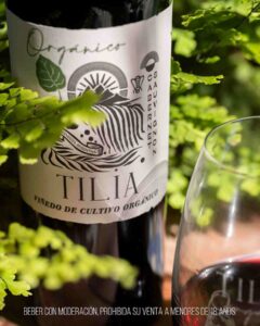 Tilia Orgánico Cabernet Sauvignon