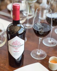 Achaval Ferrer Merlot