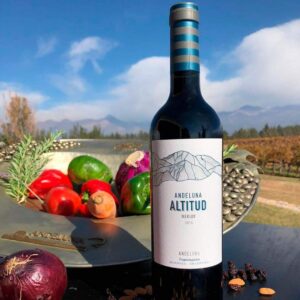 Andeluna Altitud Merlot