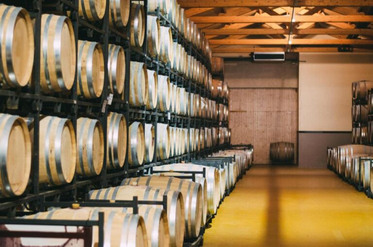 El Merlot es una cepa global que se cultiva en todos los continentes. Algunas de las regiones más destacadas incluyen: Francia: En Burdeos, especialmente en Pomerol y Saint-Émilion, el Merlot es el protagonista de vinos elegantes y estructurados. Aquí, se utiliza tanto en blends como en varietales de gran calidad. Italia: En el norte, regiones como Véneto y Friuli producen Merlot fresco y accesible, destacando su perfil frutal y equilibrado. Estados Unidos: California (especialmente Napa Valley y Sonoma) y Washington ofrecen estilos opulentos y vibrantes que han ganado popularidad. Chile: En el Valle de Colchagua y otras zonas, el Merlot chileno sobresale por su carácter jugoso y accesible.