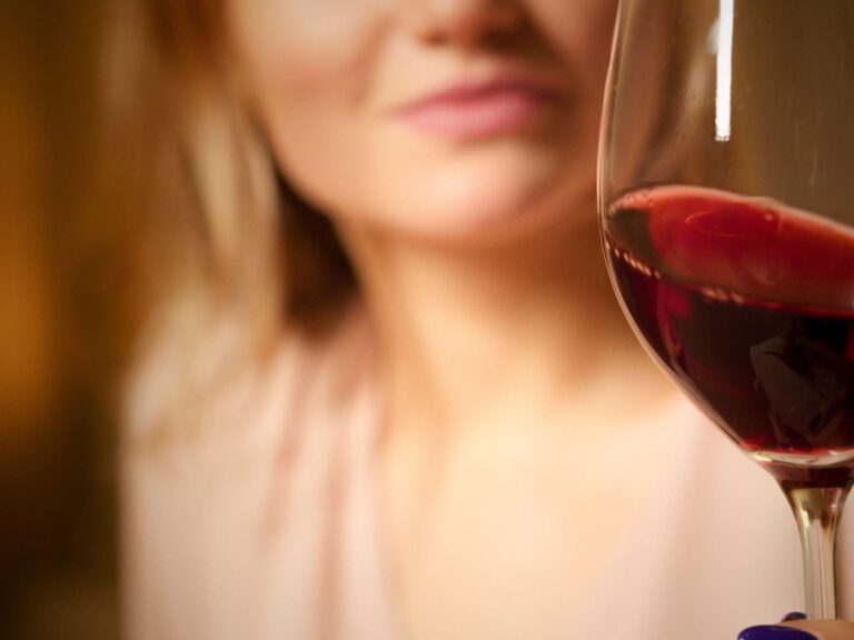 Merlot Argentino
