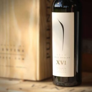 Pulenta Gran Merlot