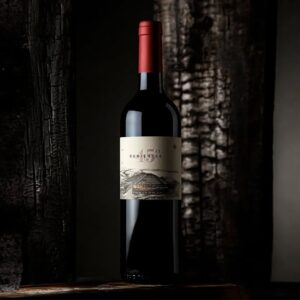 45 Rugientes Merlot