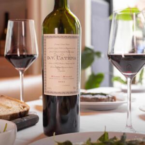 DV Catena Malbec