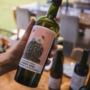 Premium - Matias Ricciteli Gualtallary Malbec