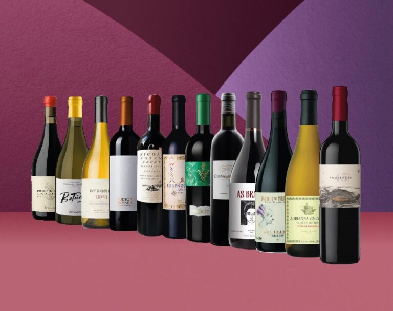 Los 10 Mejores Vinos Argentinos de 2024