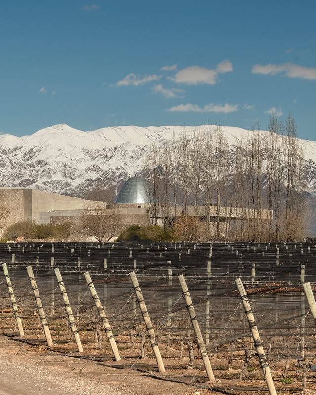 El terroir de Paraje Altamira La piedra angular de estos vinos