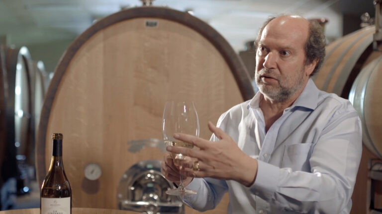 Bemberg Estate Wines Elegancia y sofisticación