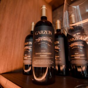 Garzón Single Vineyard Tannat (Uruguay)