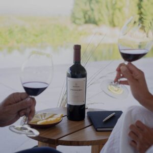 Pionero Tinto Blend