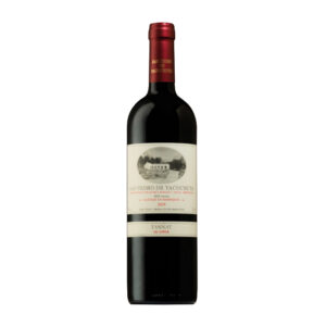 San Pedro de Yacochuya Tannat (Argentina)