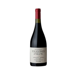 Zuccardi Polígonos - Gualtallary