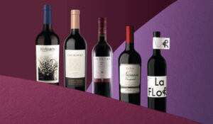Elegir bien: 5 vinos tintos argentinos con gran relación calidad-precio
