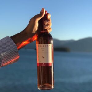 Coquena Malbec