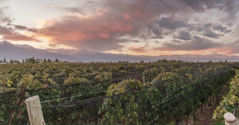Susana Balbo Embajadora del vino argentino