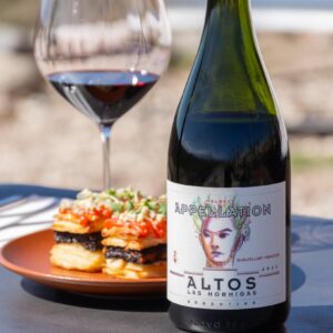 Altos Las Hormigas Appellation Gualtallary Malbec