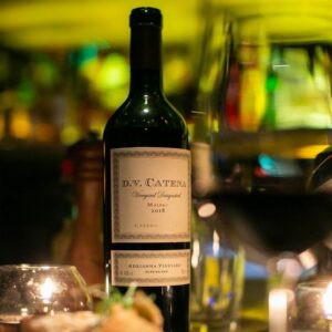 DV Catena Malbec Vineyard Designated Adrianna