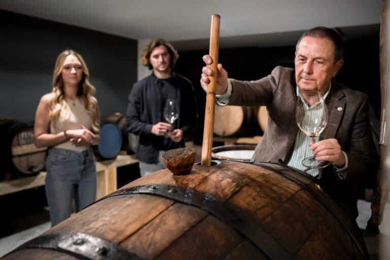 El arte de criar un vino